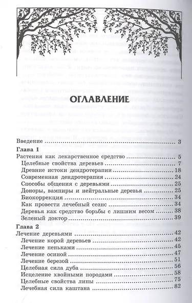 Дендротерапия: целительная сила и магия деревьев - фото 2
