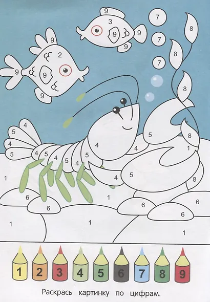 Реки и моря - фото 2