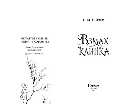 Взмах клинка (#2) - фото 4