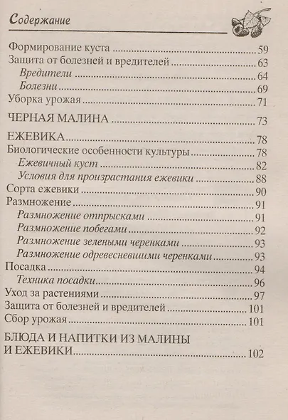 Малина, ежевика. Сорта, выращивание, уход. - фото 3