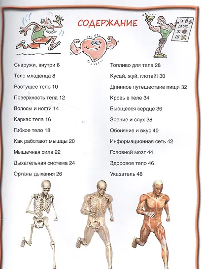 Тело человека - фото 2