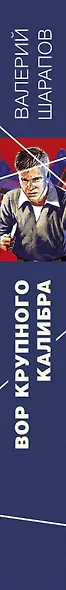 Вор крупного калибра - фото 5