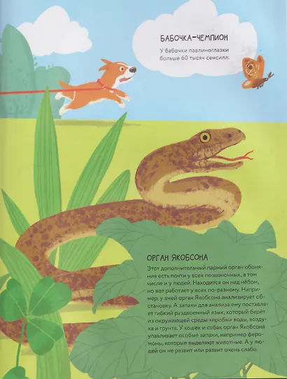 Я тебя чую! Путешествие в мир запахов - фото 3