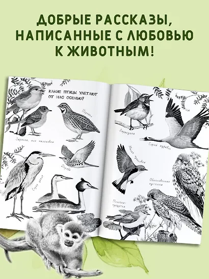 Хрестоматия для дошкольников - фото 6