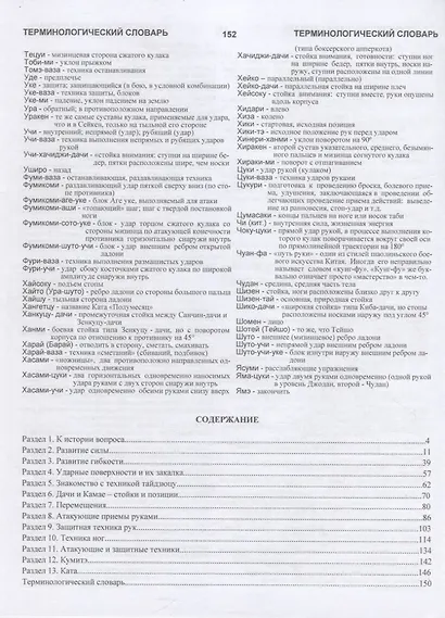 Смертельный удар ниндзя - фото 2