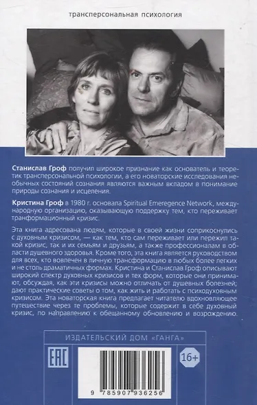Неистовый поиск себя. Руководство по личностному росту через кризис трансформаци - фото 2