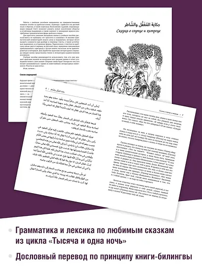 Про людей и джинов. Арабские сказки, мудрые и волшебные - фото 2