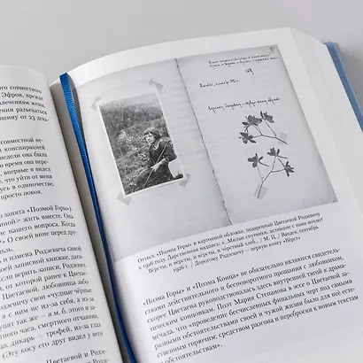 [Тома 3, 4] Полка: О главных книгах русской литературы - фото 5