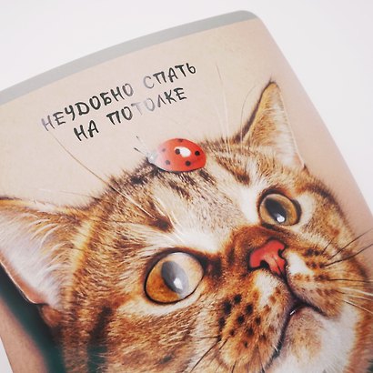 Тетрадь общая «Ох уж эти котики», 48 листов в клетку, А5, в ассортименте - Listoff - фото 9