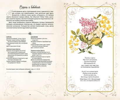 Тайный язык цветов - фото 8