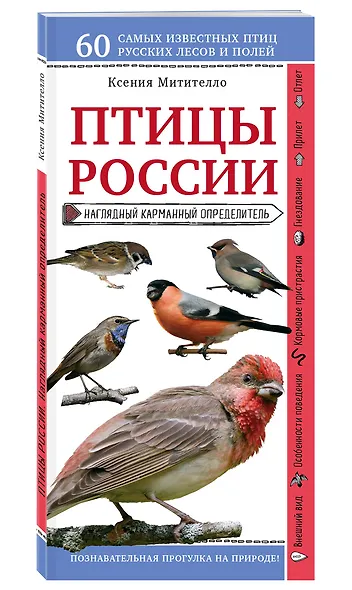 Птицы России. Наглядный карманный определитель - фото 3