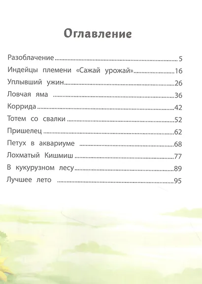 Патиссон и Горькая Редька - фото 2