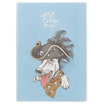 Тетрадь в линейку AnAn, Crazy guy, А5, 60 листов, в ассортименте - фото 5