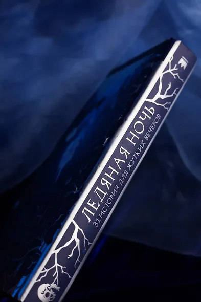 Ледяная ночь. 31 история для жутких вечеров - фото 10