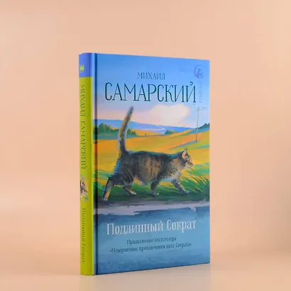 Подлинный Сократ - фото 4
