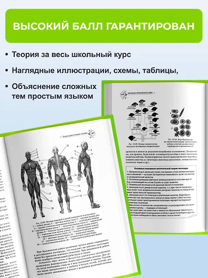 Биология. Справочник для подготовки к ЕГЭ, олимпиадам и поступлению в вуз - фото 5