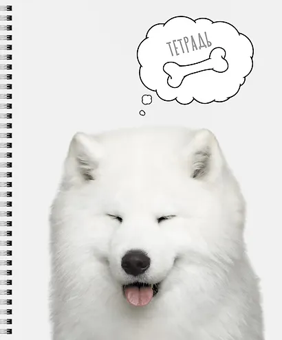 Тетрадь общая «Selfie dog» в ассортименте, 48 листов в клетку, A5 - Listoff - фото 4