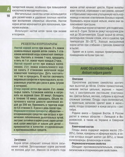 Самые необходимые лекарственные растения. Характеристики, применение, рецепты, препараты - фото 5