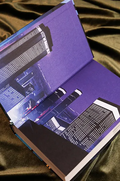 Потерянные крылья - фото 11