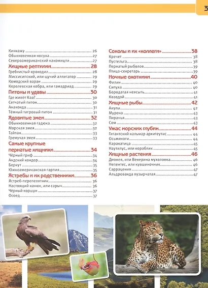 Хищники - фото 3