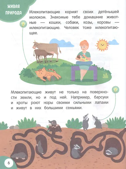 Моя первая книга открытий: для детей от 5 лет - фото 5