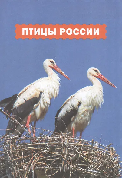 Птицы России. Популярная детская энциклопедия - фото 3