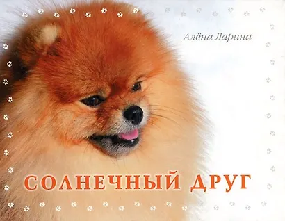 Солнечный друг - фото 1