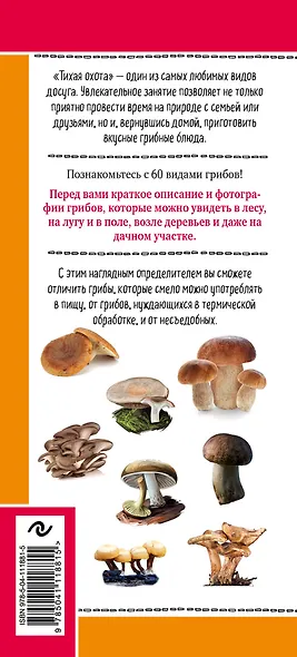 Грибы русских лесов и полей. Наглядный карманный определитель - фото 2