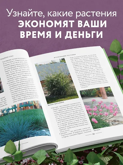 Секреты малоуходного сада. Как создать дизайн участка с неприхотливыми декоративными растениями - фото 5