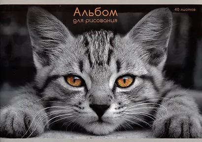 Альбом для рисования Listoff, "Взгляд кота", А4, 40 листов, на скрепке - фото 1