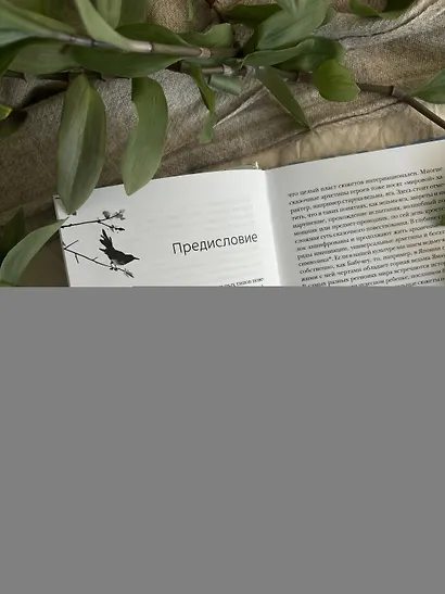 Сказки Японии. Горная ведьма, жена-лисица, Кагуя-химэ и мальчик, который рисовал кошек - фото 10