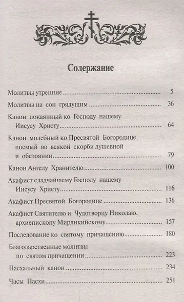 Православный молитвослов и Псалтирь. / крупным шрифтом - фото 2