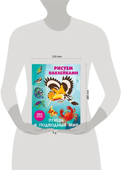 Птицы и подводный мир - фото 13