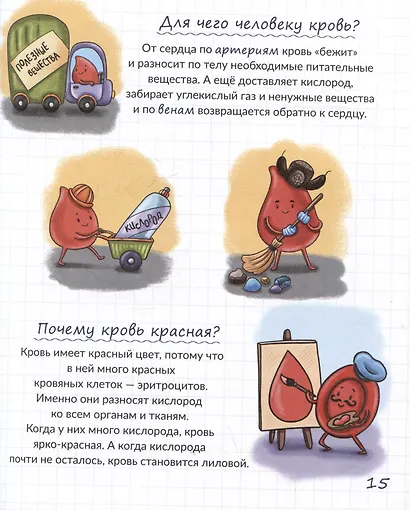 Тайны твоего тела. Энциклопедия для детей - фото 5