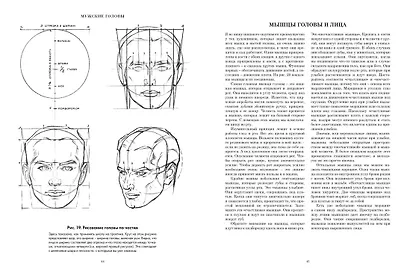 Рисование головы и рук - фото 8