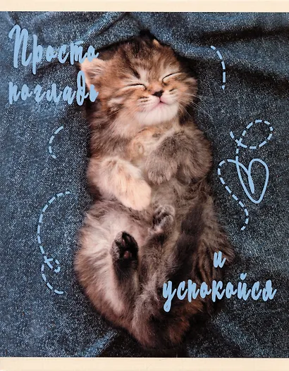 Тетрадь в клетку Listoff, "Погладь котика", 48 листов, в ассортименте - фото 4