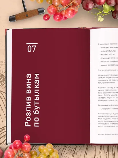 Домашнее виноделие от А до Я: виноградное вино. Пошаговое руководство - фото 8