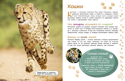 Млекопитающие - фото 5