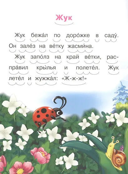Как белка потеряла грибок - фото 4