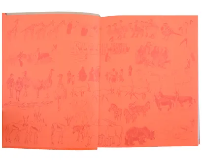 Заметки директора Эр-Риярдского зоопарка - фото 6