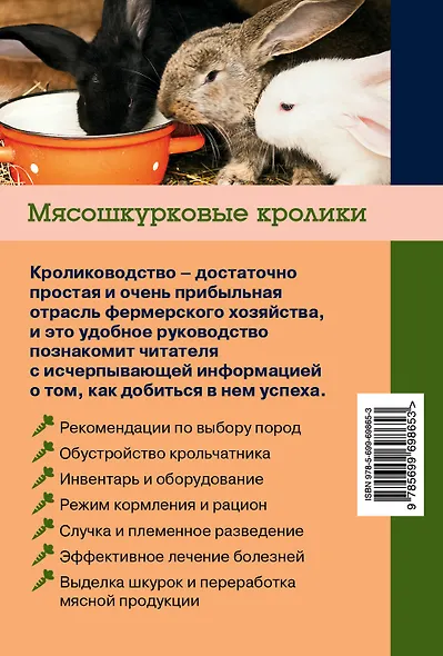 Мясошкурковые кролики: Прибыльное разведение - фото 2