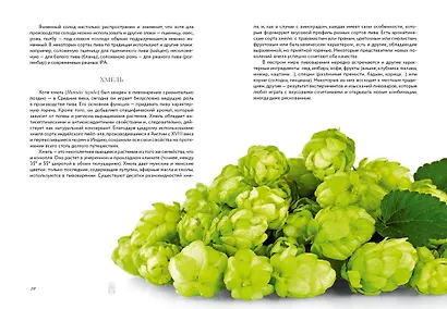 Маленькая книга гурмана. Пиво - фото 12