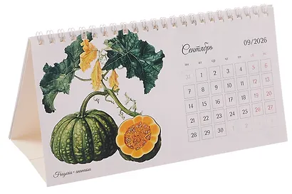 Календарь 2026г 210*120 "Ботаника" настольный, домик - фото 3