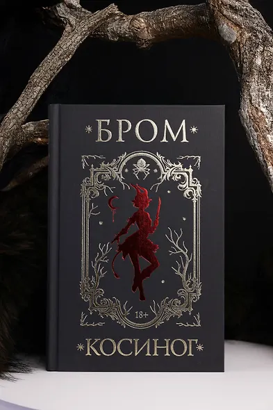 Косиног: История о колдовстве - фото 10