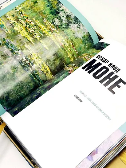 Импрессионизм. Книга в футляре + плакаты - фото 10