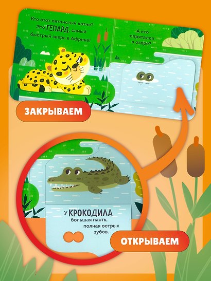Дикие животные - фото 7