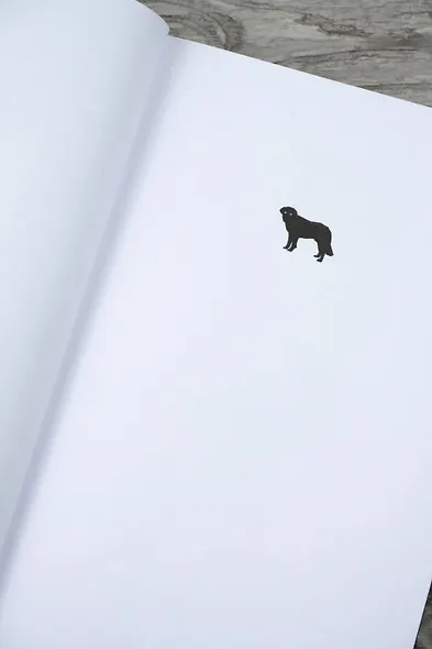 Куджо - фото 12