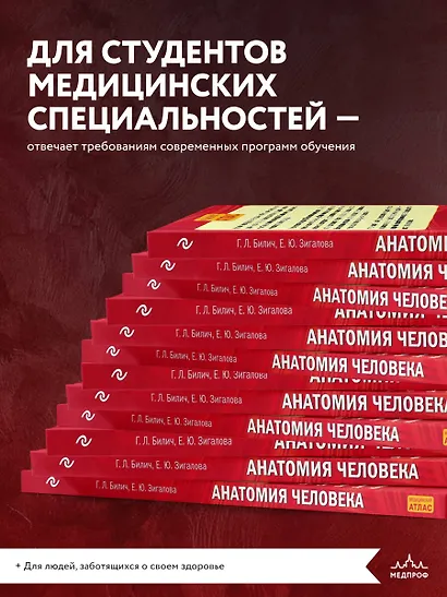 Анатомия человека: 2 издание - фото 6