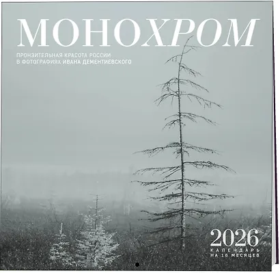 Монохром. Пронзительная красота России в фотографиях Ивана Дементиевского. Календарь настенный на 16 месяцев на 2026 год (300х300 мм) - фото 2