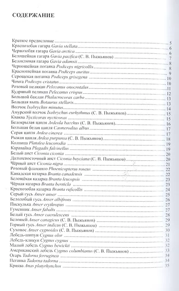 Птицы Сибири (комплект из 2 книг) - фото 6
